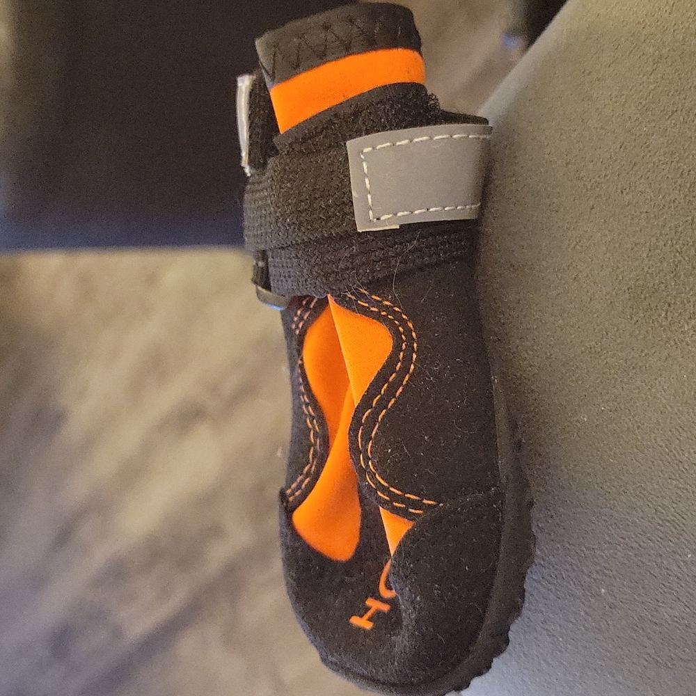 Shoe's for your pooches